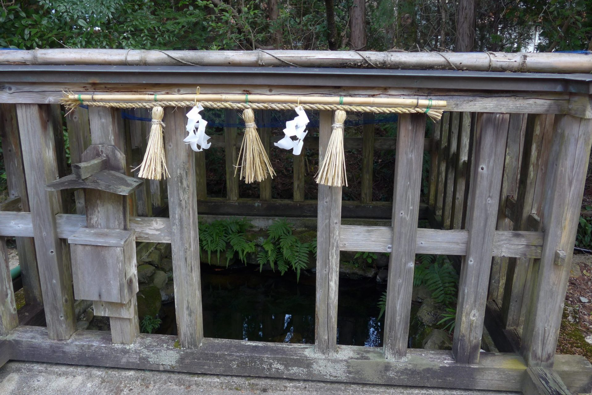 （K）須佐神社のご利益は？大杉さんの木精と天照社参拝を忘れずに！