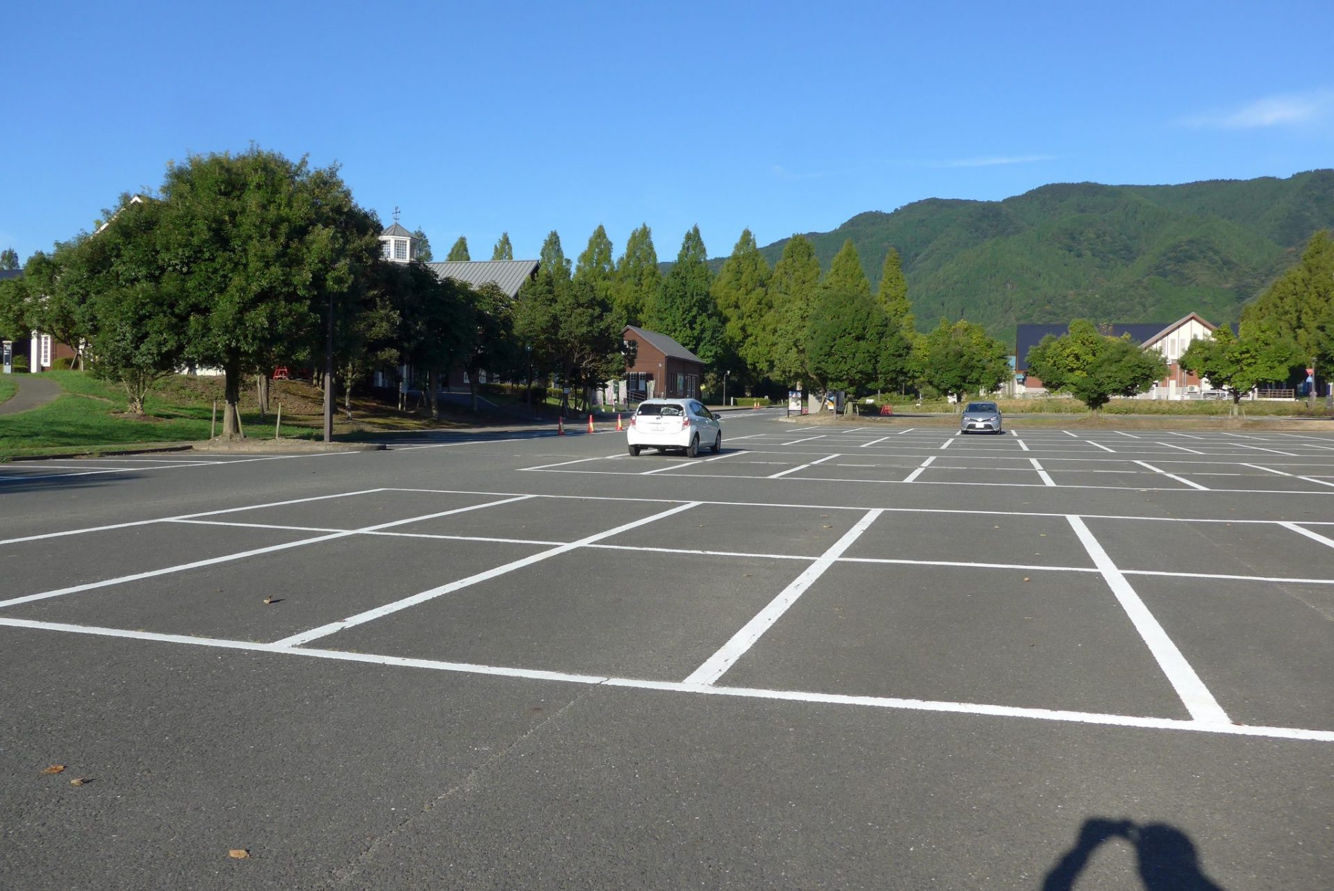 （K）マキノ高原メタセコイヤ並木は駐車場完備で安心！カフェも！